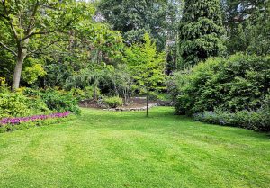 Optimiser l'expérience du jardin à Cours-les-Bains